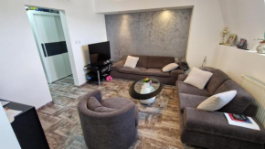 Luxury Apartment in Nis